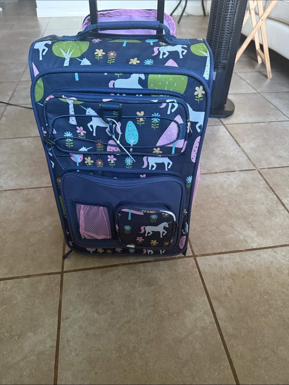 Kids rolling luggage